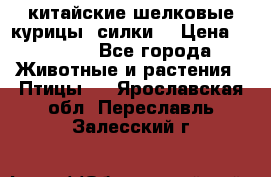 китайские шелковые курицы (силки) › Цена ­ 2 500 - Все города Животные и растения » Птицы   . Ярославская обл.,Переславль-Залесский г.